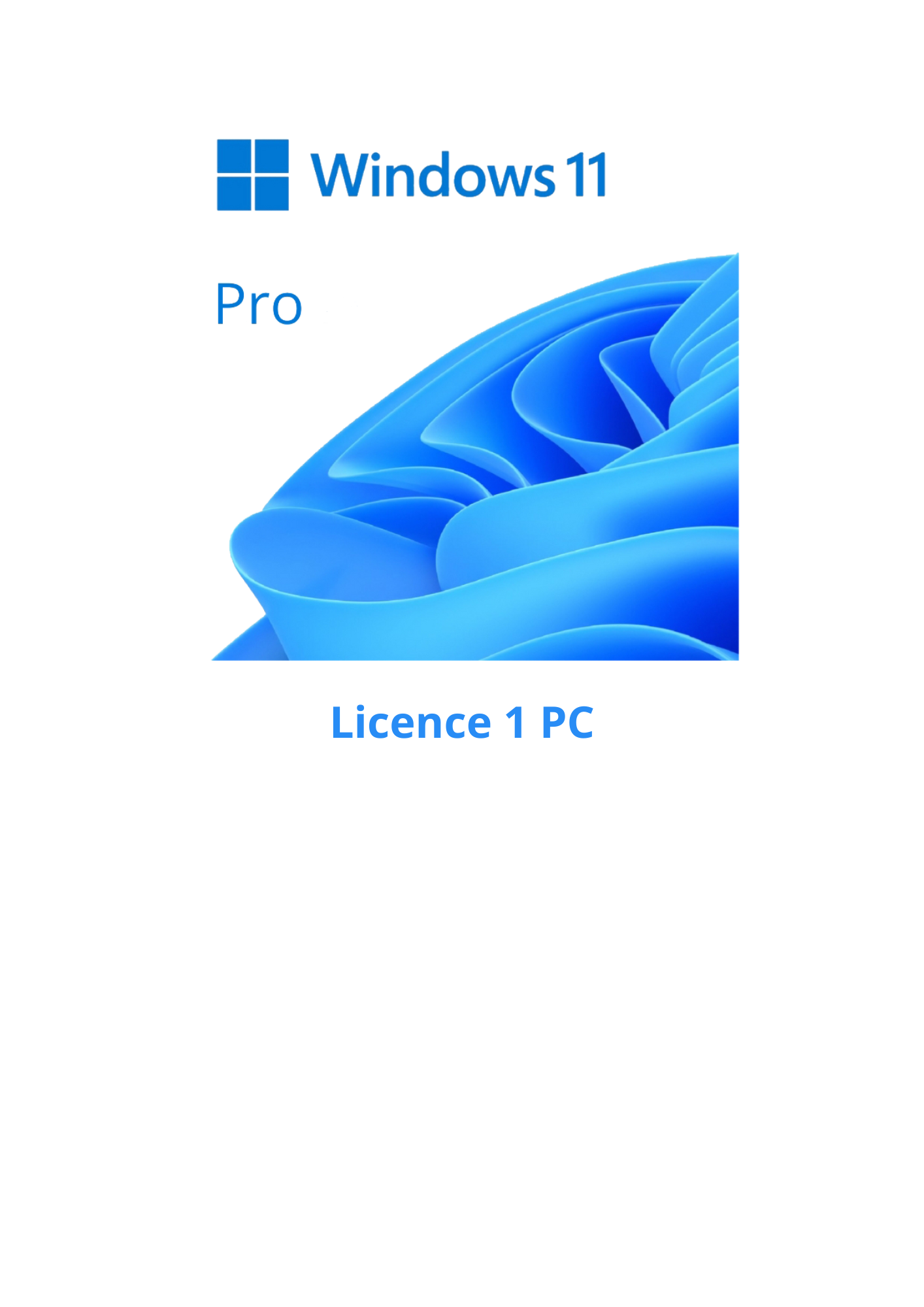 Windows 11 Pro