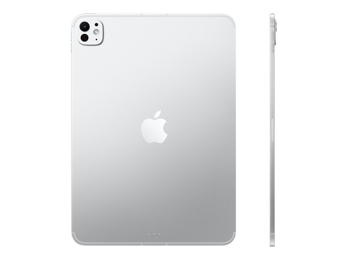 iPad Pro 11" M5 Wi-Fi 256 Go