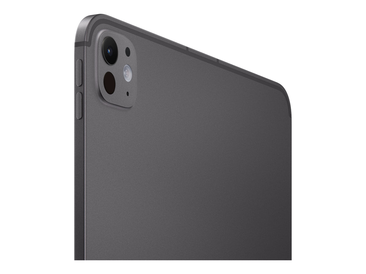 iPad Pro 11" M5 Wi-Fi 256 Go