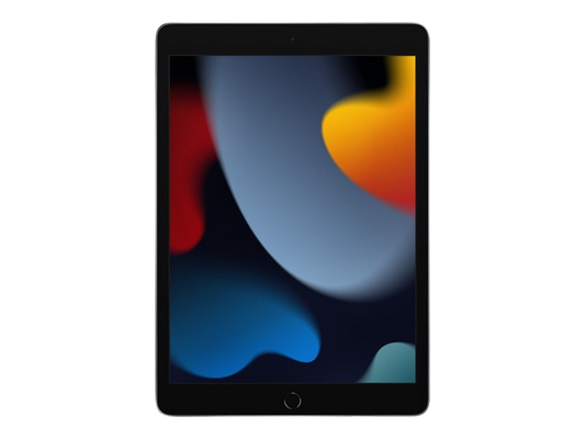 APPLE iPad 10,2 pouces Wi-Fi 256 Go Gris sidéral