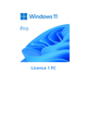 Windows 11 Pro